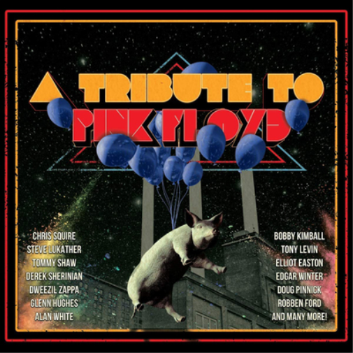 Various Artists A Tribute to Pink Floyd (CD) Album with DVD