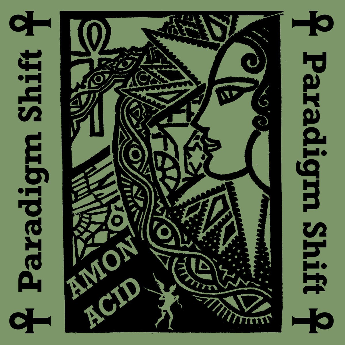 Amon Acid Paradigm Shift (CD) Album