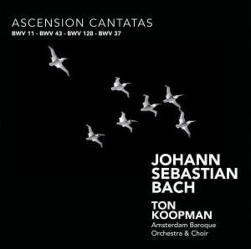 Amsterdam Baroque Orchestr Ascension Cantatas (Koopman, Amsterdam Baroque a (CD)