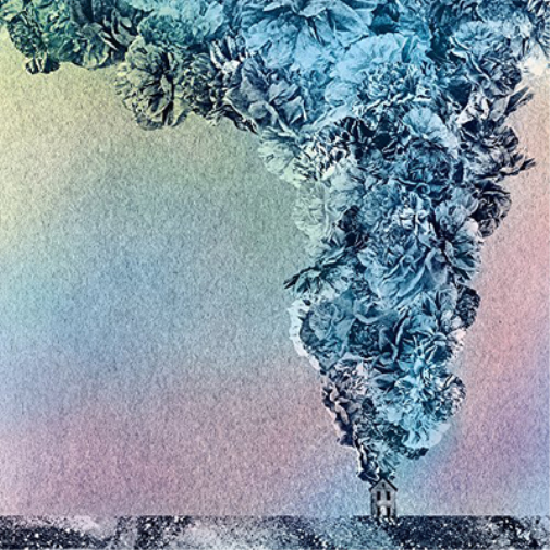 Daughn Gibson Carnation (Vinyl LP) 12" Album