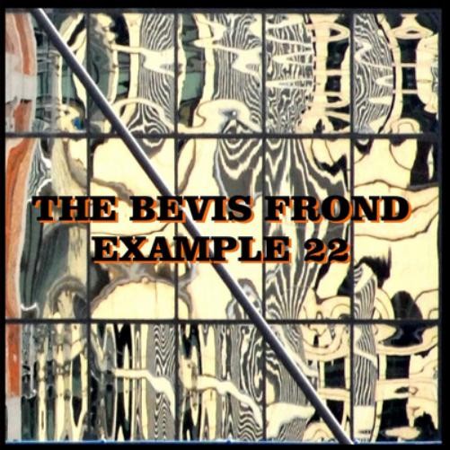 The Bevis Frond Example 22 (CD) Album