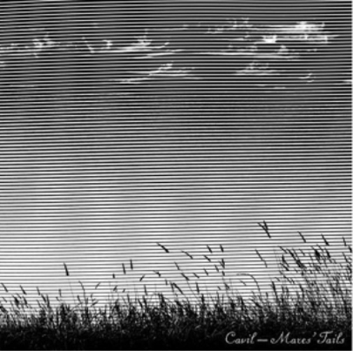 Cavil Mares' Tails (CD) Album
