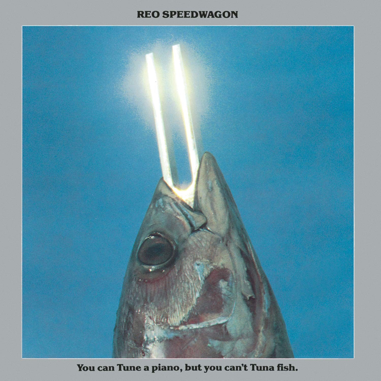 REO Speedwagon You Can Tune A Piano But You C (CD)