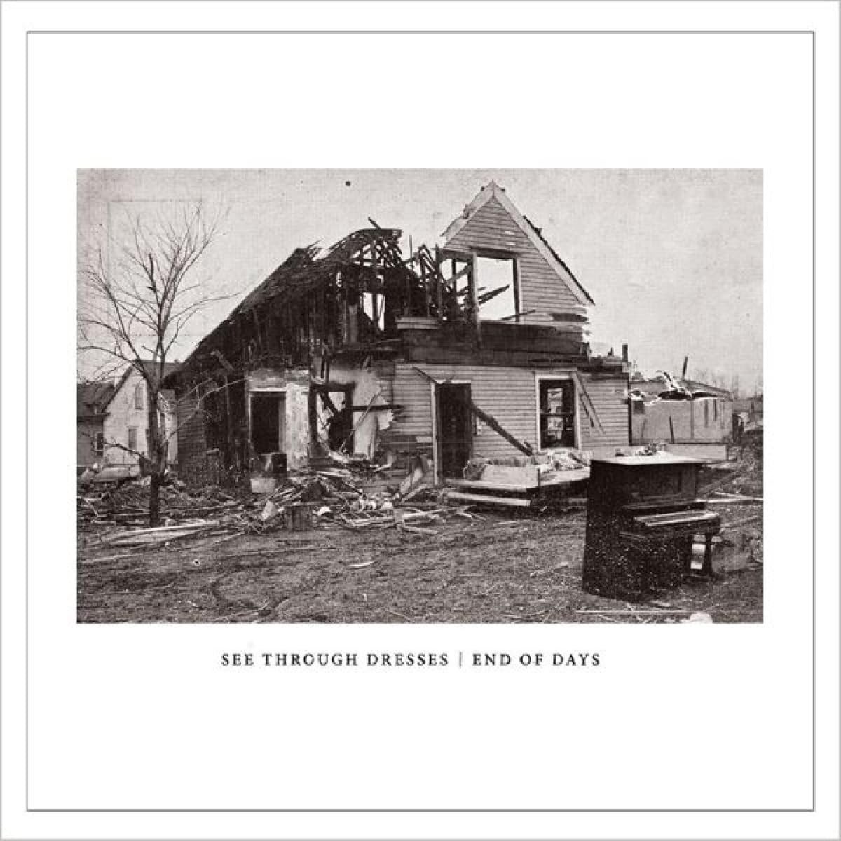 See Through Dresses End of Days (Vinyl LP)