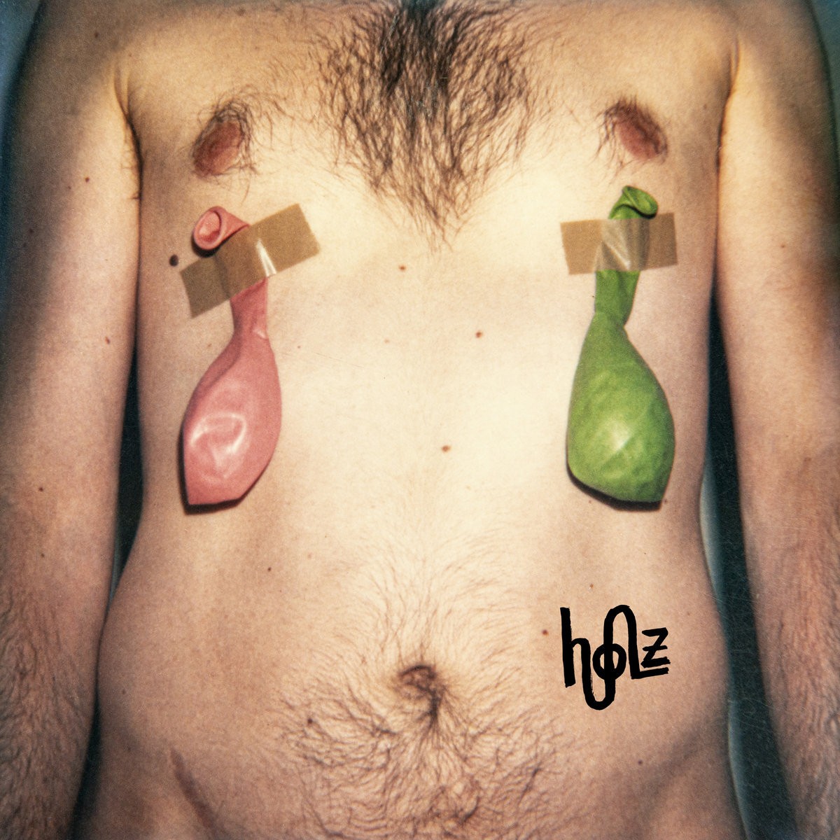 Holz Holz (Vinyl LP) 12" Album