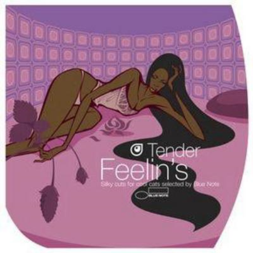 Various Artists Tender Feelin's: Silky Cuts for Cool Cats (CD) Album