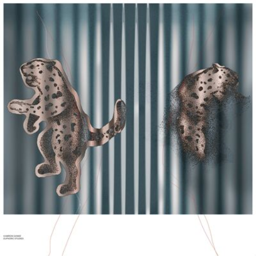 Kamron Saniee Euphoric Studies (Vinyl LP) 12" Album