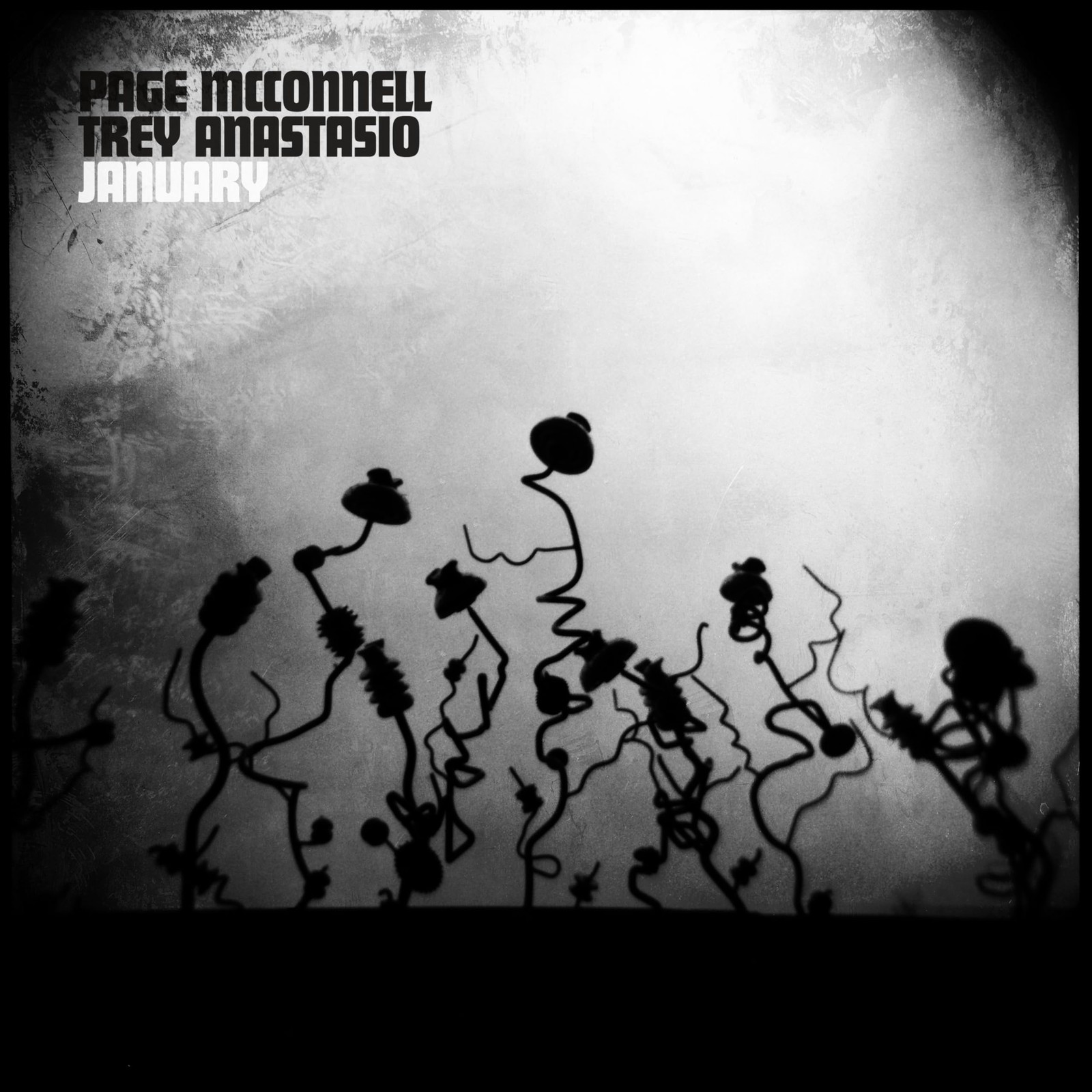 Page McConnell & Trey Anastasio January (Vinyl LP)
