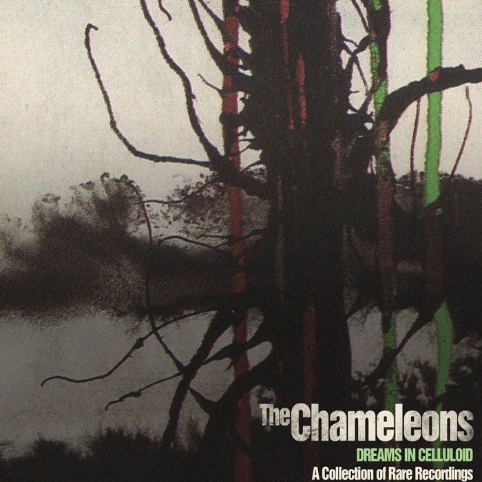 The Chameleons Dreams in Celluloid: A Collection of Rare Recordings (CD) Album
