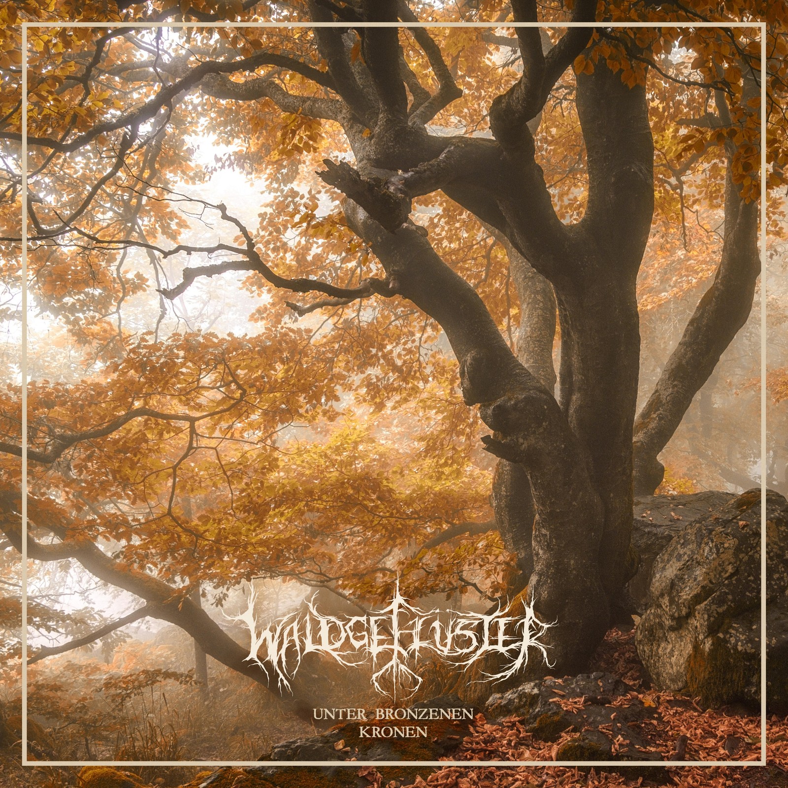 Waldgeflüster Unter Bronzenen Kronen (CD) Album Digipak