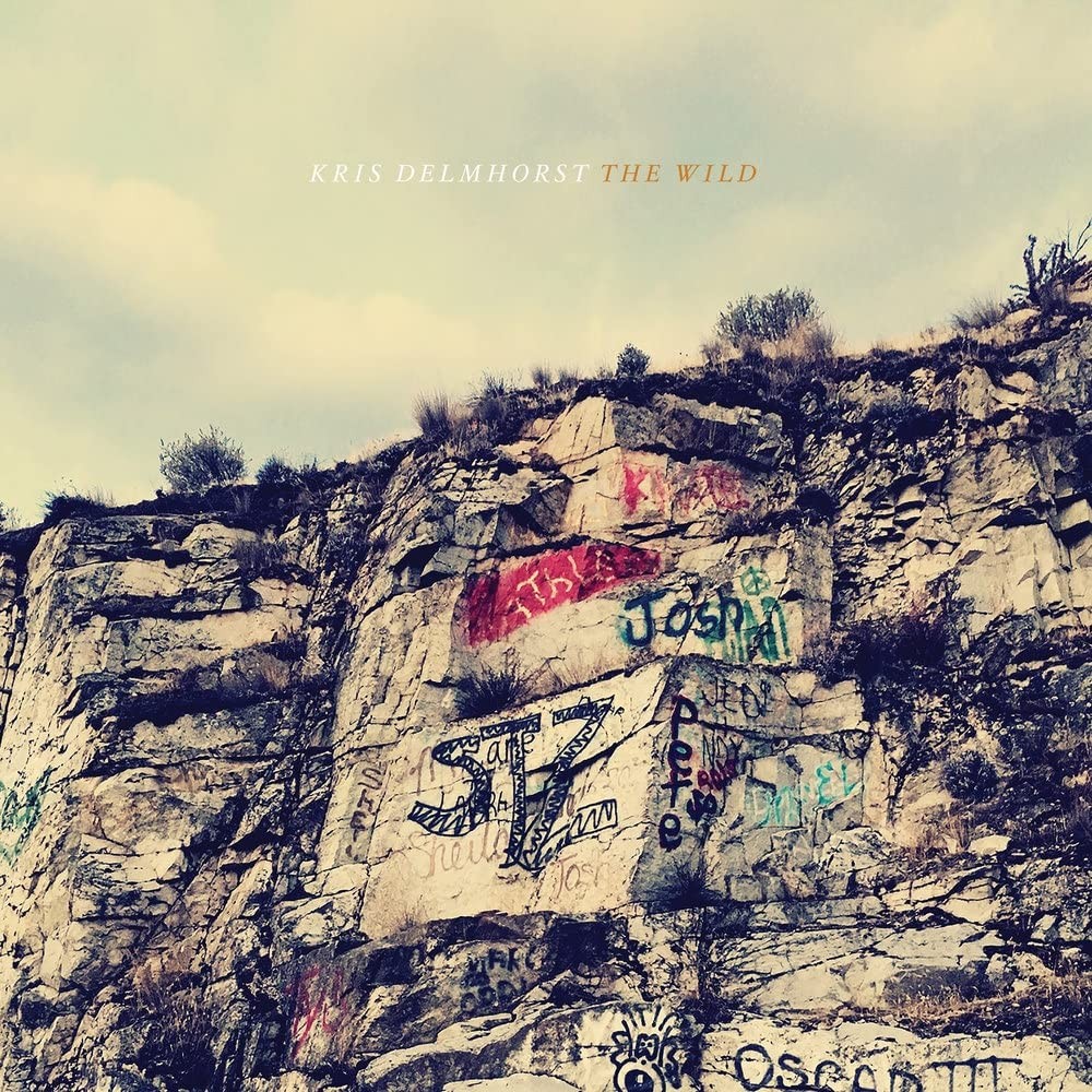 Kris Delmhorst The Wild (CD)