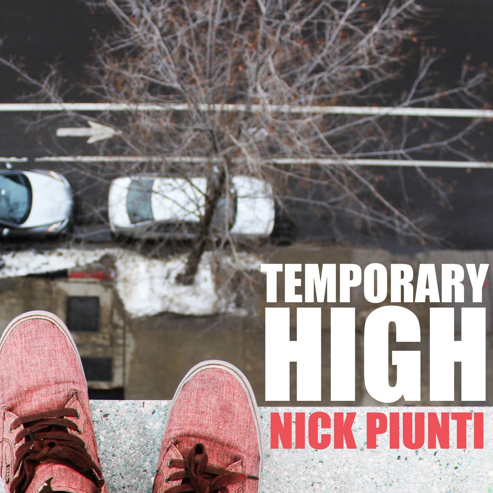 Nick Piunti Temporary High (Vinyl LP)