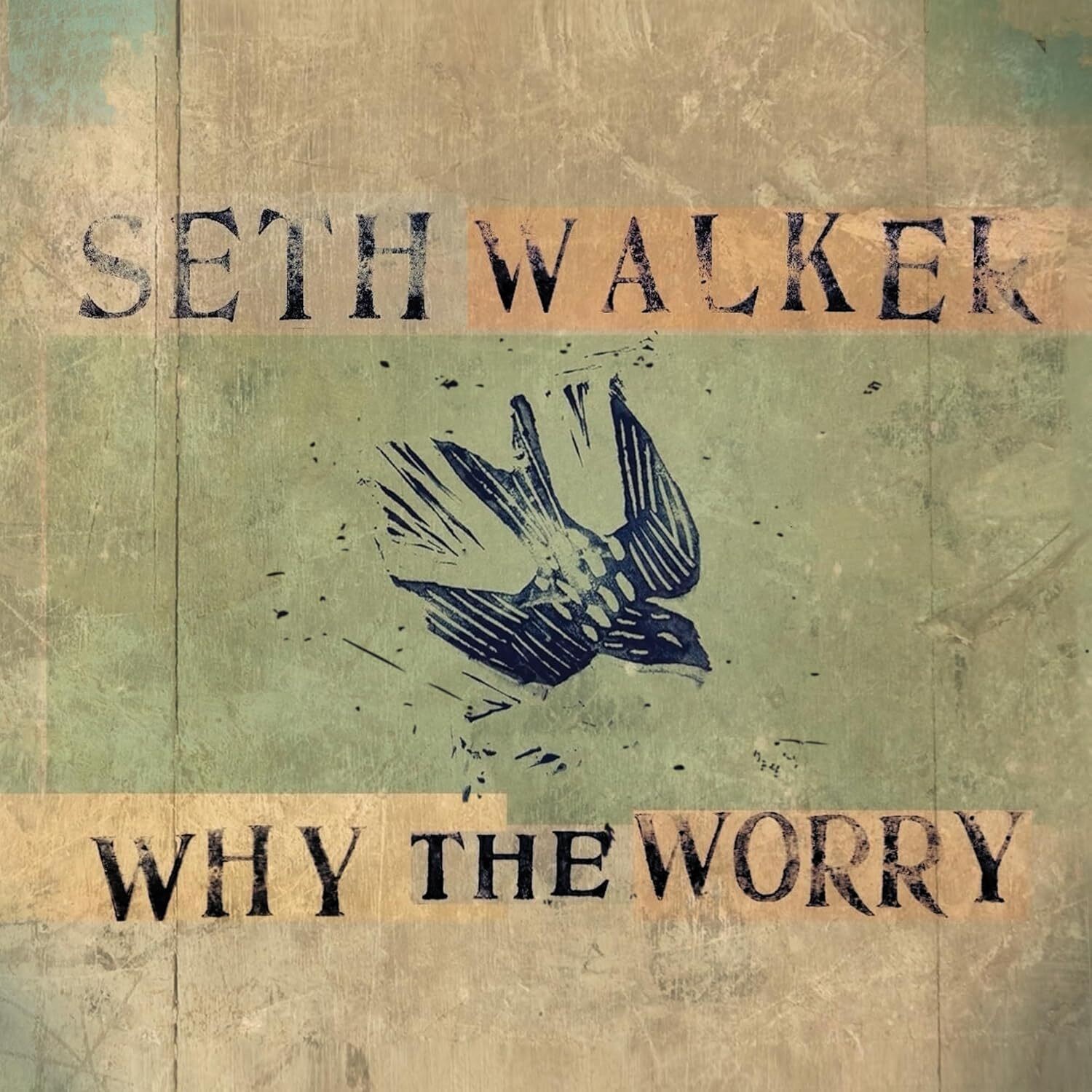Seth Walker Why the Worry (Vinyl LP) 12" Album