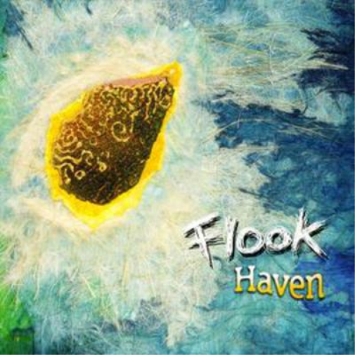 Flook Haven (CD) Album