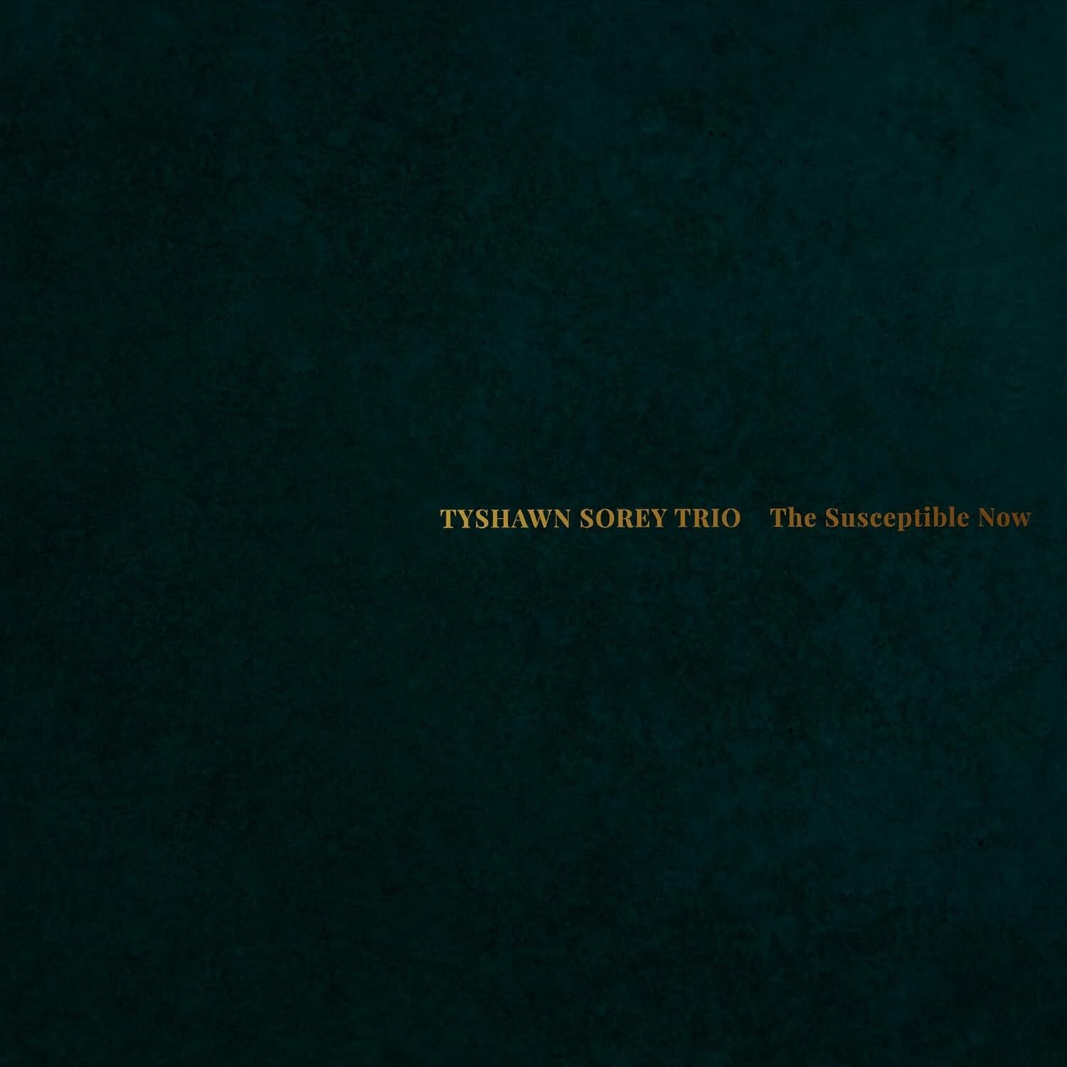 Tyshawn Sorey The Susceptible Now (Vinyl LP) 12" Album (Gatefold Cover)