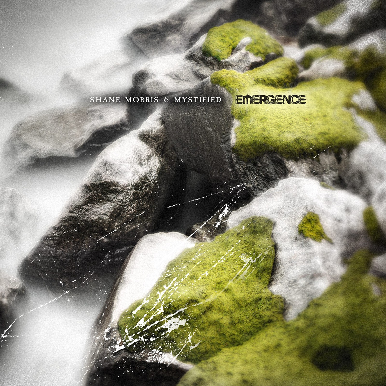 Shane Morris Emergence (CD)