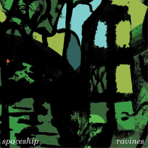 Spaceship Ravines (Vinyl LP) 12" Album