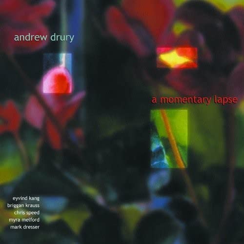 Mark Dresser A Momentary Lapse (CD)
