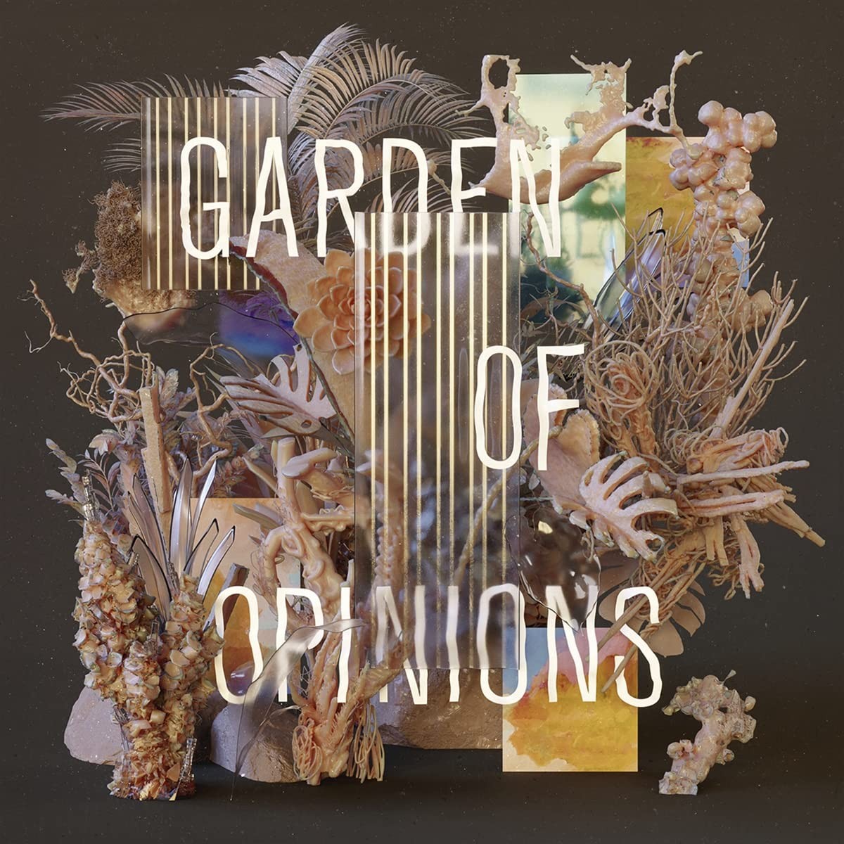 Footprint Project Garden Of Opinions (Vinyl LP)