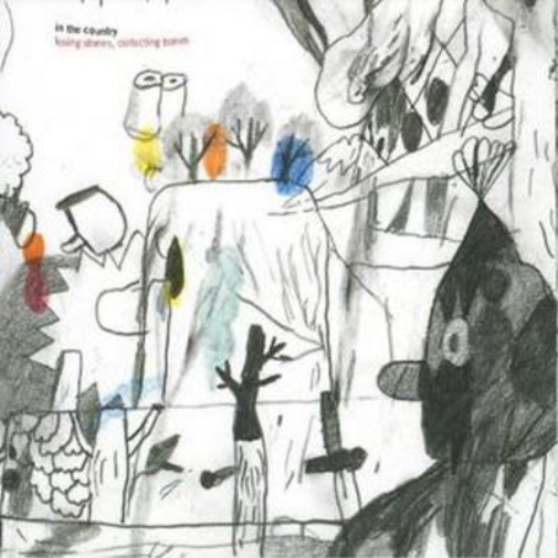 In The Country Losing Stones, Collecting Bones (CD) Album