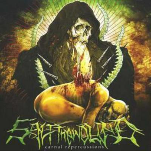 Salt The Wound Carnal Repercussions (CD) Album