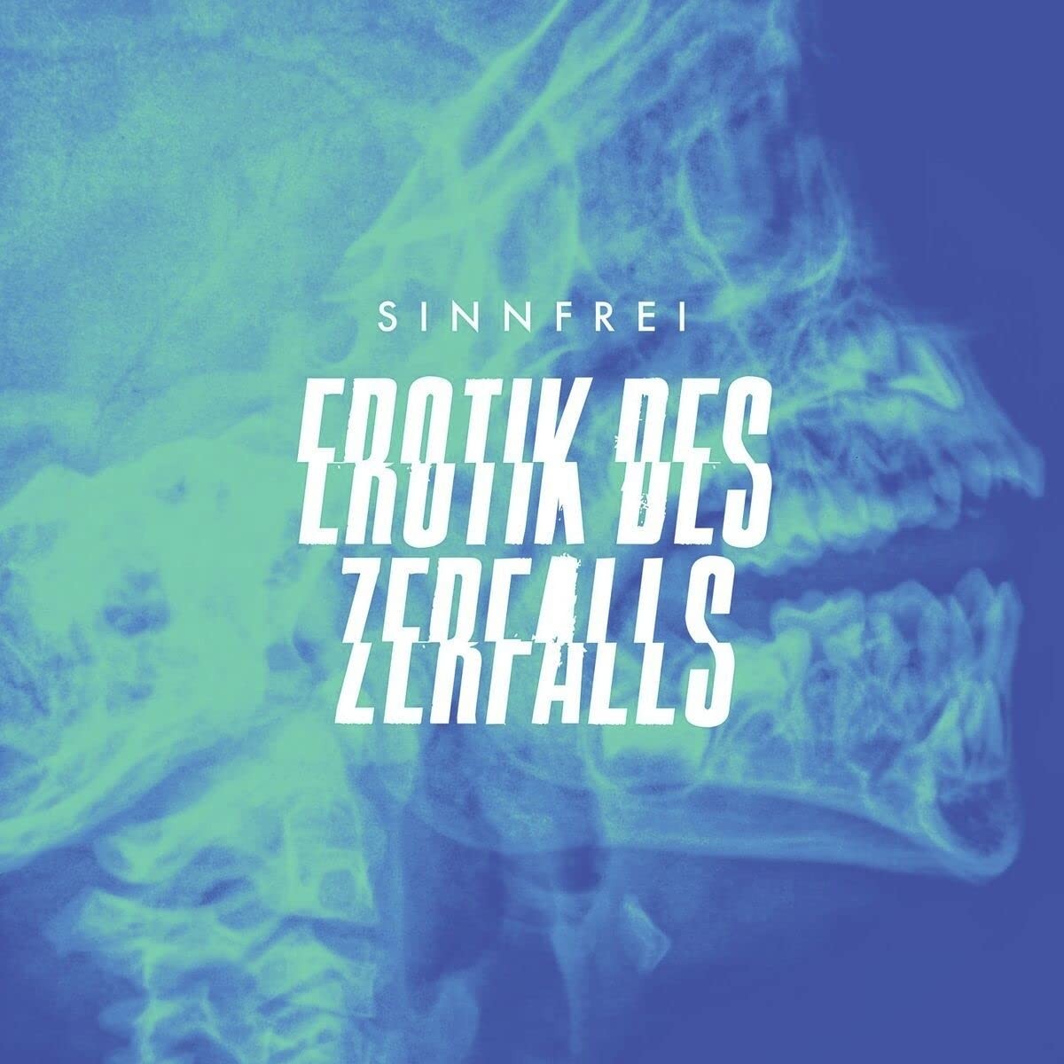 Sinnfrei Erotik Des Zerfalls (180Gr./Booklet/Download) (Vinyl LP)