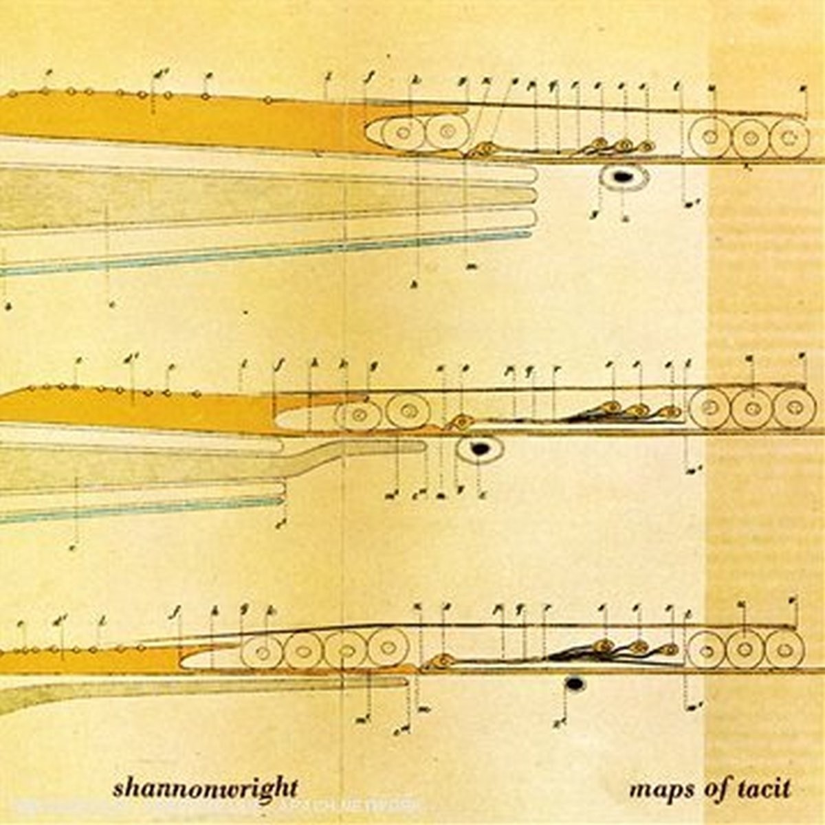 Shannon Wright Maps of Tacit (CD)