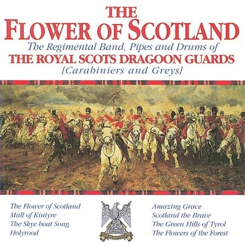 Flower of Scotland by Various Artists [Audio CD]