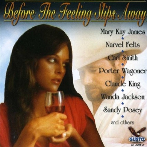 Country's Best: Before the Feeling Slips Away / Various by COUNTRY's BEST