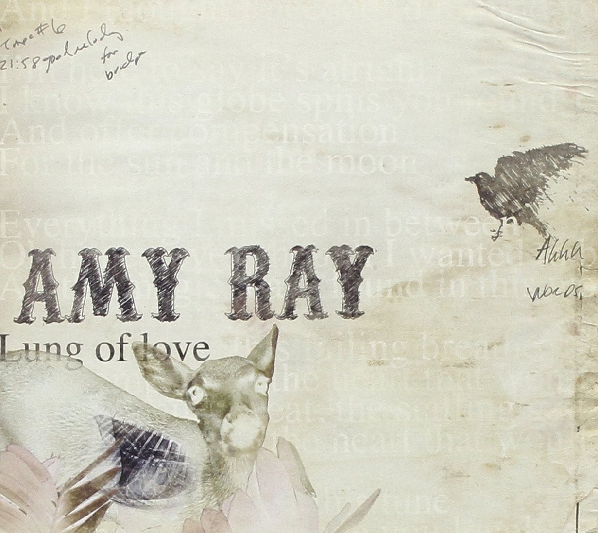 Amy Ray Lung Of Love (CD)