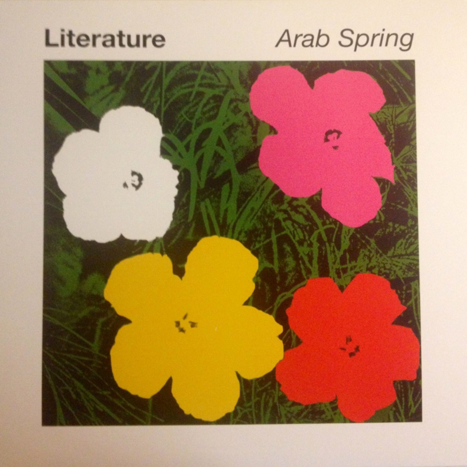 Literature Arab Spring (Vinyl LP)
