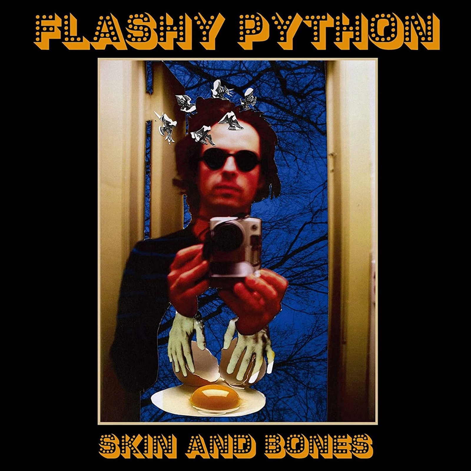 Flashy Python Skin And Bones (CD)