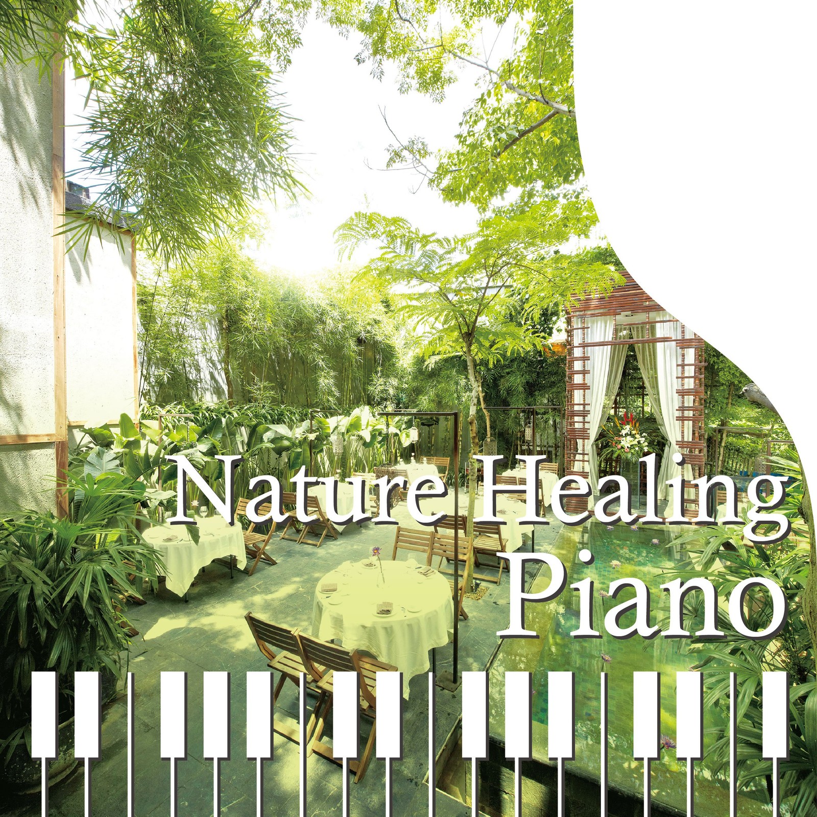 Aoki Shintaro Nature Healing Piano Cafe De Shizuka Ni Kiku Piano To Shizen  (CD)