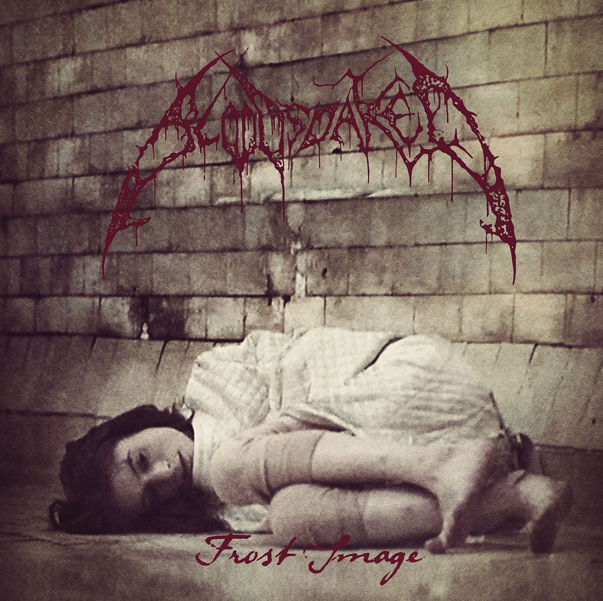 Bloodsoaked Frost Image/The Omen (CD) Album