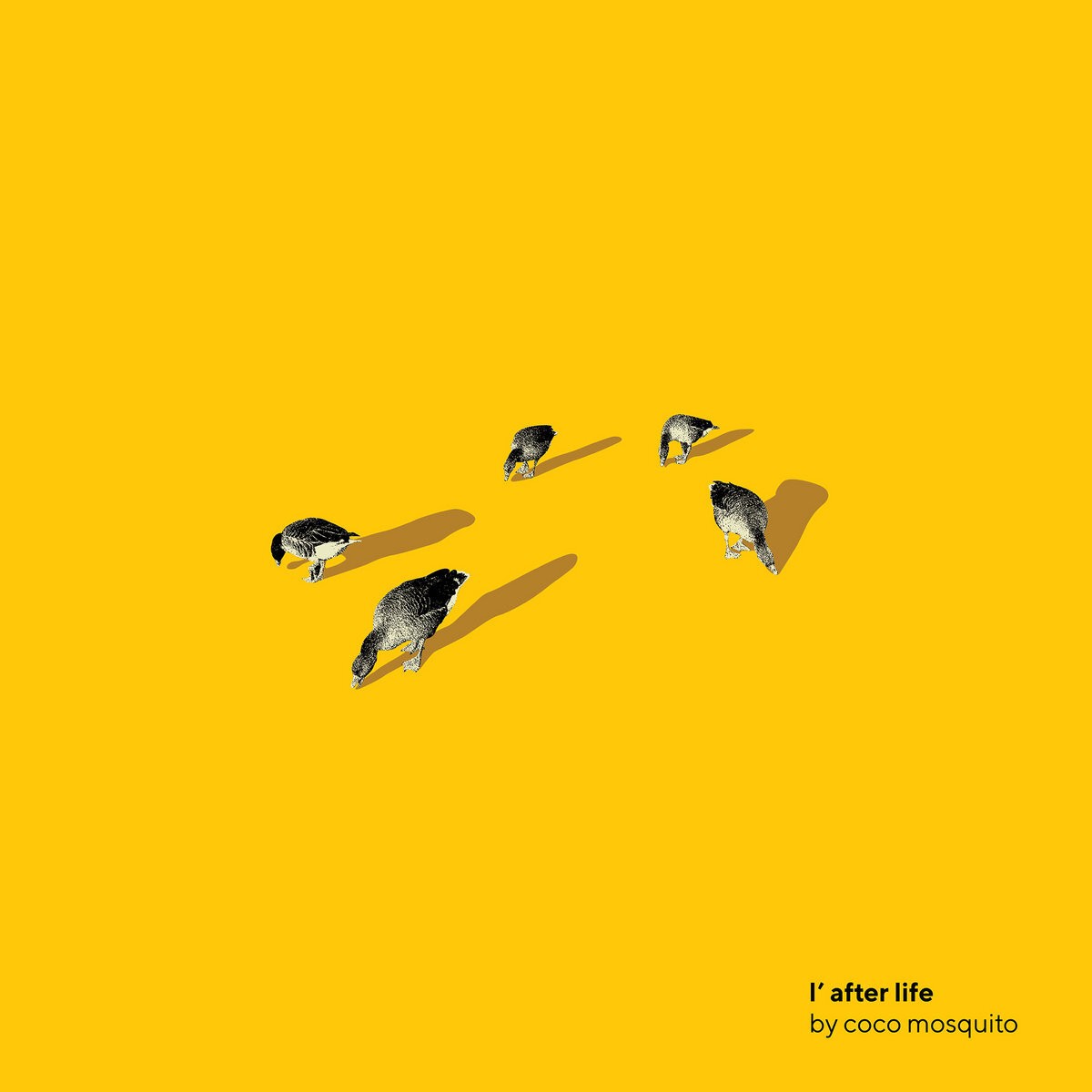 Coco Mosquito L'after Life (Vinyl LP) 12" Album