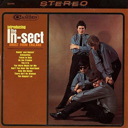 Introducing The In-Sect Direct from England by The In-Sect [Audio CD]