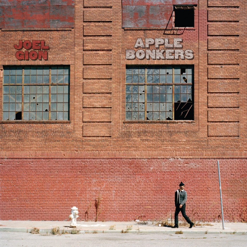 Joel Gion Apple Bonkers (CD) Album