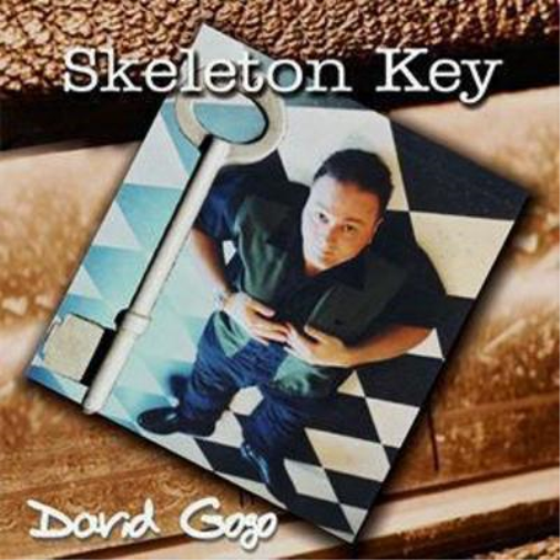 David Gogo Skeleton Key (CD) Album