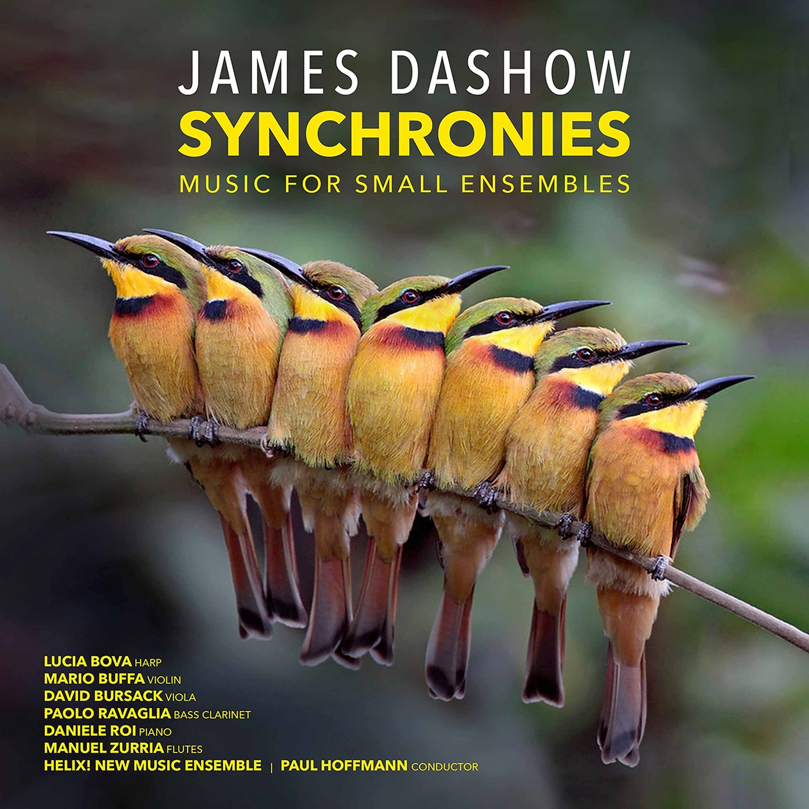 Paul Hoffman Synchronies (CD)