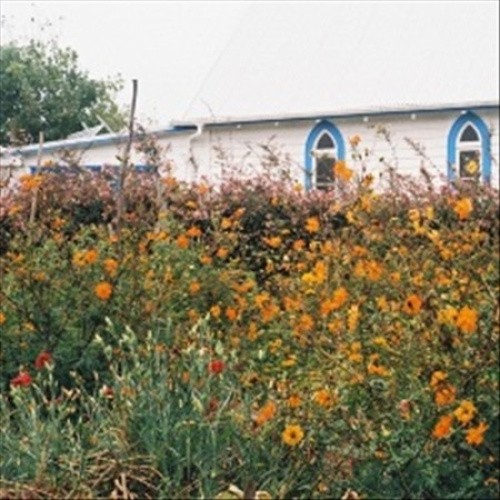 Blue Cheese [Slipcase] by Kane Strang [CD]