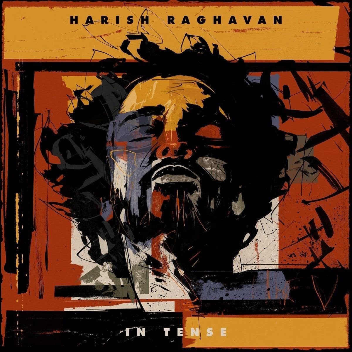 Harish Raghaven In Tense (Vinyl LP) 12" Album