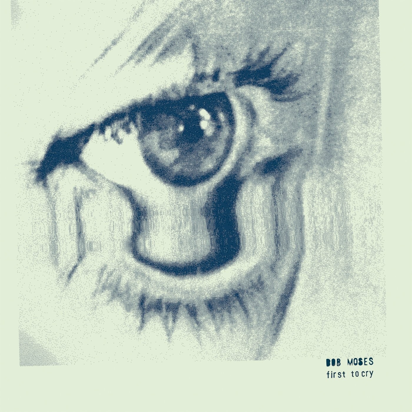 `MOSES, BOB` `Bob Moses - First To Cry (12`` Vinyl Single)` VINYL LP NUOVO