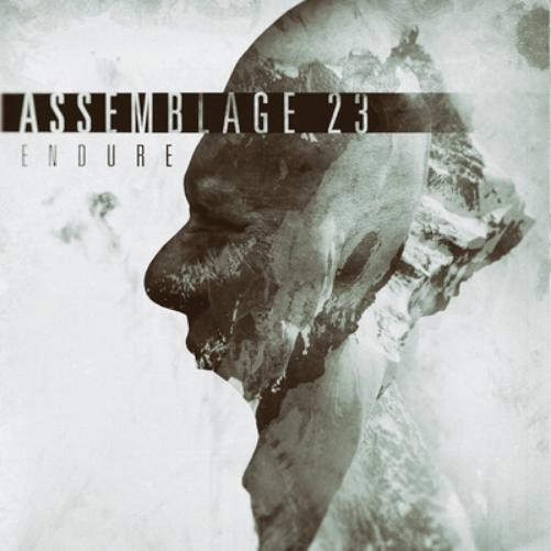 Assemblage 23 Endure (CD) Album (PRESALE 27/06/2025)