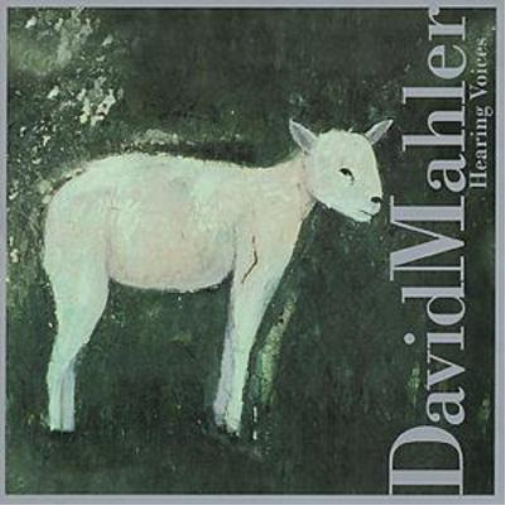 David Mahler Hearing Voices (CD) Album