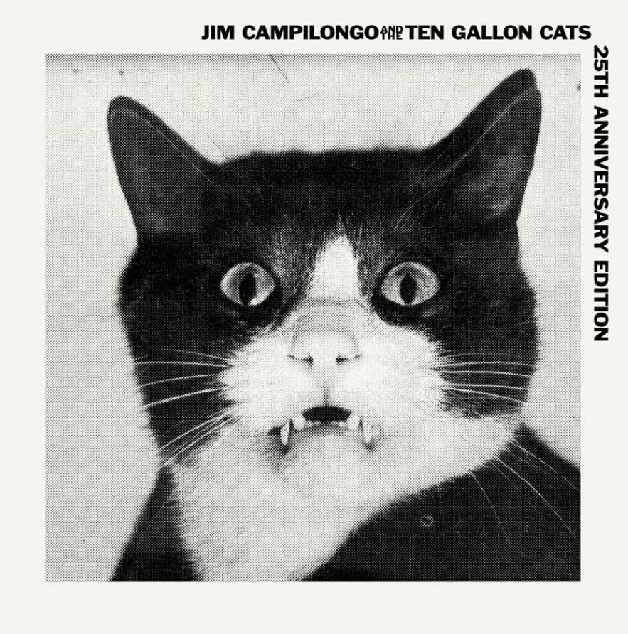 Jim / Ten Gallon Cats Campilongo Jim Campilongo & Ten Gallon Cats (Vinyl LP)