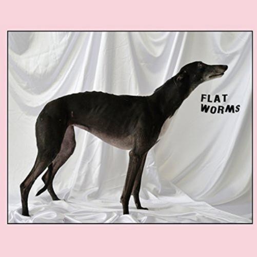 Flat Worms Flat Worms (Vinyl LP) 12" Album