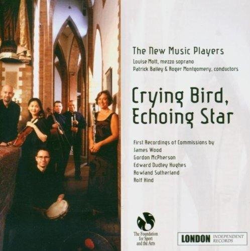 NEW MUSIC PLAYERS Crying Bird, Echoing Star (The New Music Players) (CD) Album