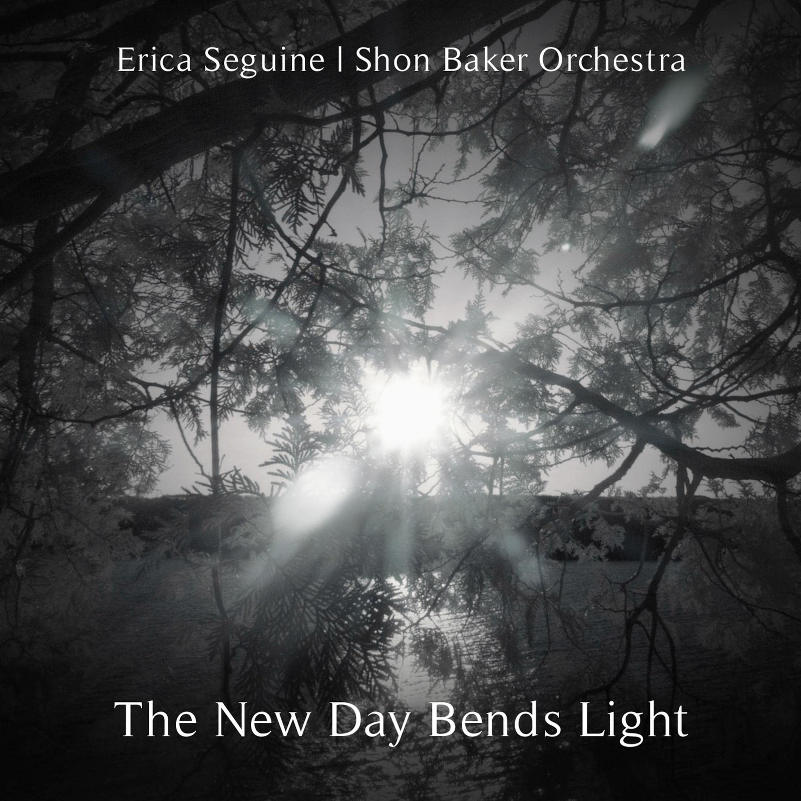 Erica Seguine   Shon Baker Orchestra The New Day Bends Light (CD)