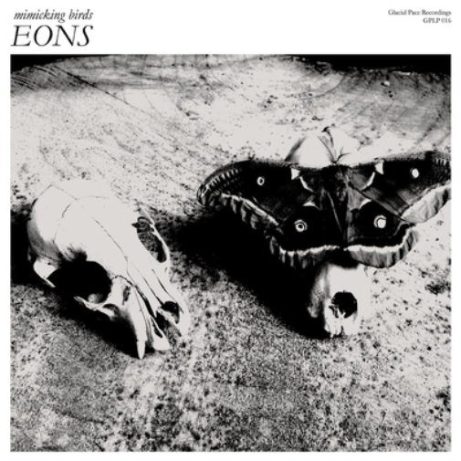 Mimicking Birds Eons (Vinyl LP) 12" Album