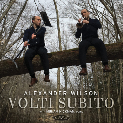 Alexander Wilson Volti Subito (CD) Album